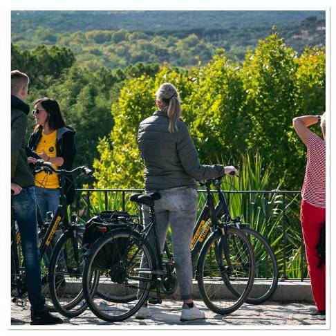 tour in bicicletta verde 0002