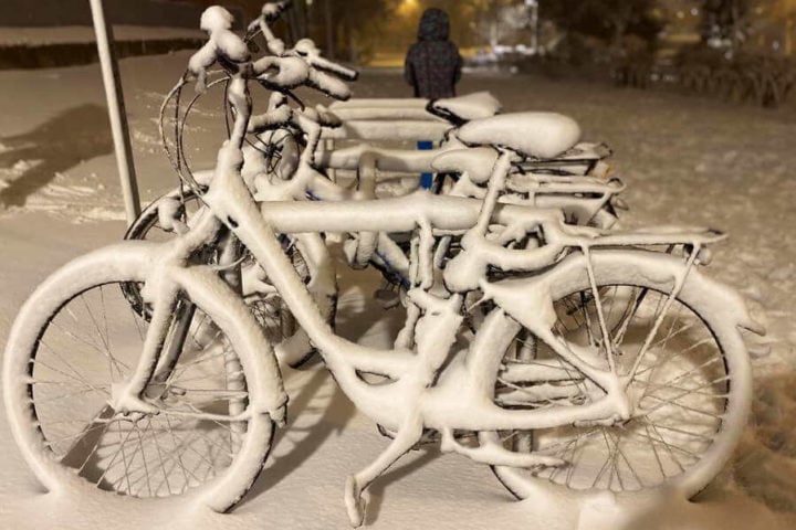 Trixi.com - Tours y alquiler de bicicletas en Madrid
