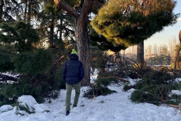 Trixi.com - Tours y alquiler de bicicletas en Madrid