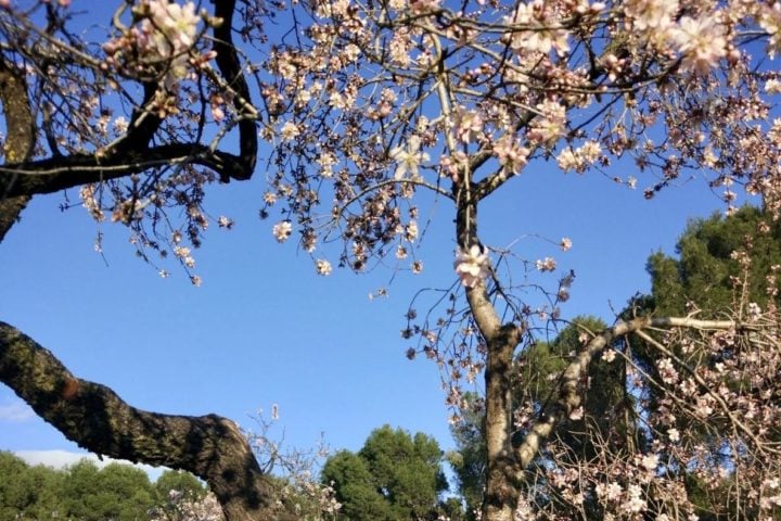 Trixi.com – Bike Tours & Rental Madrid