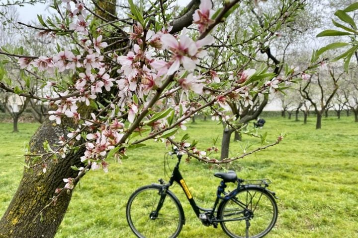 Trixi.com – Bike Tours & Rental Madrid