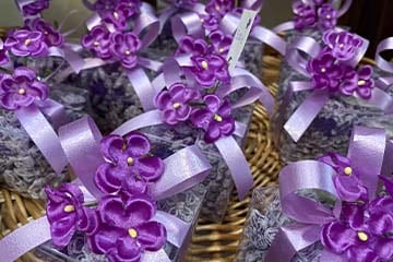 La Violeta: trova questo negozio di dolci tradizionali a Madrid a pochi minuti a piedi dal nostro negozio di biciclette e tour a piedi Trixi.